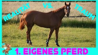 Das erste EIGENE PFERD I Realität vs Traum I Storytime  1 eigenes Pferd [upl. by Erena]