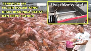 TERNYATA INI FILTER KOLAM YANG BIKIN IKAN NILA SEHAT DAN CEPET PANEN [upl. by Atiral]