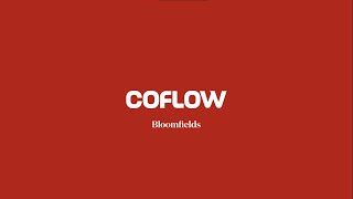 COFLOW  The First Serviced Offices in Egypt at Bloomfields  New Cairo [upl. by Tnaryb]