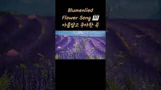 클래식 명곡 우아한 피아노 Flower songBlumenlied Gustav Lange 🎹🎶 [upl. by Graces]