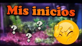 Mi primer acuario e iniciación a la acuariofilia  Me da vergüenza 😳 [upl. by Mcferren]