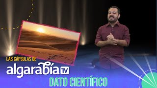 Algarabía TV  Dato científico  Sahara [upl. by Faythe18]