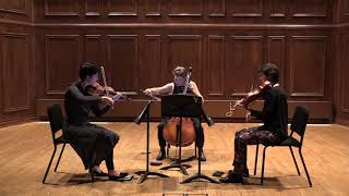 Sofia Gubaidulina String Trio II amp III [upl. by Erodoeht]