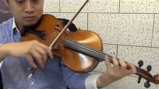 Karl Ditters von Dittersdorf Sonata in Eb major I [upl. by Darnoc]