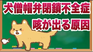 犬が僧帽弁閉鎖不全症になると咳の症状がでる原因とは？【獣医師解説】 [upl. by Earehc]