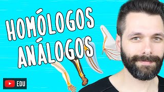 ÓRGÃOS HOMÓLOGOS E ANÁLOGOS  Evolução  Biologia com Samuel Cunha [upl. by Ardnauqal]