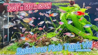 Rainbow Fish VN  Layout Nature Full Glass  Truong Juno [upl. by Laundes]