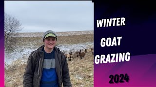 2024 Winter Grazing Goats🐐Meet Our Hardworking Young Man [upl. by Una]