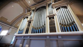 2010 Holtkamp Organ  St Hedwigs Catholic Church  Milwaukee Wisconsin [upl. by Nirok993]