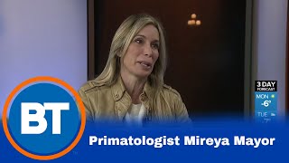 Primatologist Mireya Mayor [upl. by Irret]