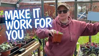 Get The Most Out Of Your Small Greenhouse With My Tips [upl. by Attenwad]