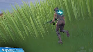 Damage an Opponent Within 45 Seconds of Crouching in Tall Grass Guide  Fortnite [upl. by Notsniw]