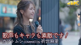 【 歌うま 】歌声もキャラも素敵です！明るくフレンドリーな方でした。 カブトムシ  aiko（ covered by 祈世麻里 ）高音質 路上ライブ 4K映像 [upl. by Rebeh]