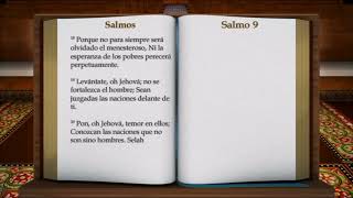 Salmos Libro Completo Biblia Hablada Reina Valera 1960 [upl. by Leanatan]