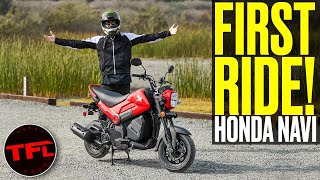 Is The Crazy Cheap New Honda Navi The BEST Option Under 2K — Or Should You Get A Used Grom Instead [upl. by Shel485]