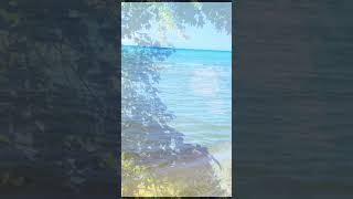 Lake Huron Caseville Michigan shorts lakehuron nature music bencaruso caseville [upl. by Heyde]