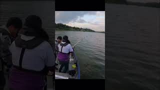 Righty tighty lefty loosey lesson on a big catfish fishing blooper [upl. by Naitsyrk]