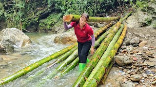 Go to the forest to get bamboo to prepare to build a new farm  Chúc Thị Hồng [upl. by Corry410]