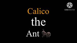 CALICO THE ANT THEME SONG [upl. by Atsillac551]