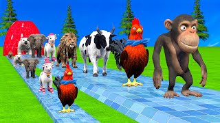 Paint amp Animals CowMonkeyBearChikenLionElephant Fountain Crossing Transformation Animal Cartoon [upl. by Giralda]