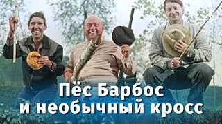 Пёс Барбос и необычный кросс FullHD комедия реж Леонид Гайдай 1961 г [upl. by Onairelav]