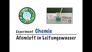 Experiment Chemie – Atemluft in Leitungswasser [upl. by Sdlonyer]