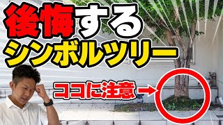 【注文住宅】庭のシンボルツリーで失敗！オリーブ？シマトネリコ？人気の樹種7本を徹底解説！ [upl. by Aliled]