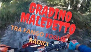 GRADINO MALEDETTO [upl. by Annid]