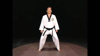 Taekwondo basic stances [upl. by Tann]