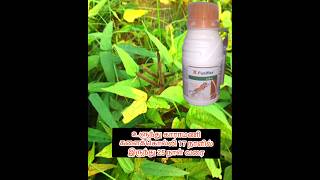 Ulundu Karamani herbicide from 17 days to 25 days agriplantation [upl. by Ravert]