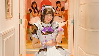 Visiting a Japanese Maid Cafe to Meet a Famous Maid💜  Home Cafe AKIHABARA  Chimu [upl. by Malvia]