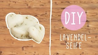 DIY mit Nina Moghaddam Duftende Lavendelseife [upl. by Bonne]