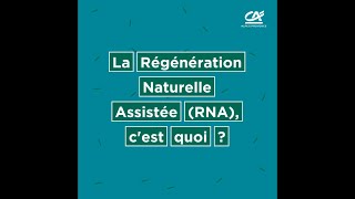 La Régénération Naturelle Assistée RNA cest quoi [upl. by Washko]