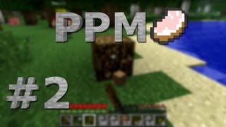 Porks Play Minecraft 2 BauarbeiterHood [upl. by Ailee]