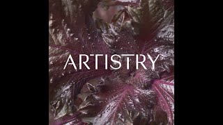 Meet the Artistry™ Brand  Skin Nutrition  Amway [upl. by Thessa]