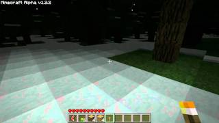 Minecraft  Carried torches casting light [upl. by Robyn]