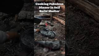 Cooking Fabulous Dinner In Self Build Wooden Shelter [upl. by Airekat]