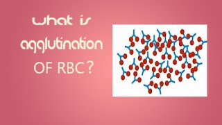 Agglutination Reaction  Types of agglutination  Active  Passive  Microbiology  AgAb Reaction [upl. by Acker]