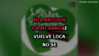 Los Pasteles Verdes  Esclavo y Amo  KARAOKE DEMO [upl. by Anahs]