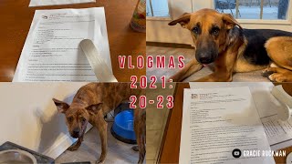 Vlogmas 2021 Days 2023  The One Where We Finish the Cookies [upl. by Anidam]