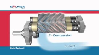 Screw Compressor Principle Mouvex Overview [upl. by Aeht]