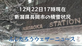 2023年12月22日夕方 新潟県長岡市の積雪状況⛄〜雪見だいふくを食べながら〜 [upl. by Mace62]