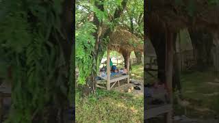 Cambodia Travel Video Tourist Places Cambodia Trip Vlog travel cambodia cambodiaexplorer [upl. by Sulienroc]