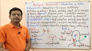 Expectorants and Antitussive Part03 Mechanism of Action of Pharyngeal Demulcent  Antitussive [upl. by Aillil]