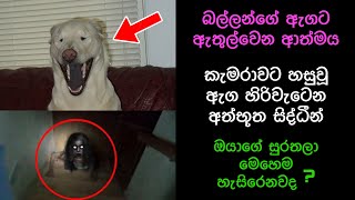 කැමරාවට හසුවූ හොල්මන් part 24  Paranormal Activity kazzai holman wishwa gaweshaka holman holman [upl. by Coppins]