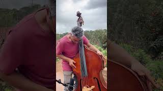 Funky weather🕺🏽☁️🦇 music bass groove funk musica jazz bassplayer musician percussion [upl. by Timothea]