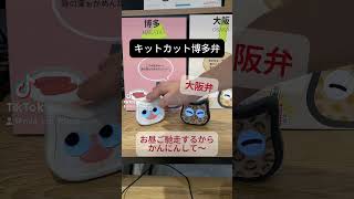 キットカット博多弁 shorts 猫 ミーア ミーアとの暮らし cute cutecat 猫好き 猫との暮らし 猫ミーム ロボット 癒し 方言 博多弁 大阪弁 ペット [upl. by Nosemyaj]