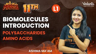 Biomolecules Introduction  Polysaccharides  Amino Acids  Class 11  Ashima maam  V Master [upl. by Munniks]