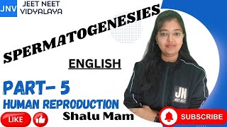 SPERMATOGENESIS PART 5HUMAN REPRODUCTION SHALU NEET TRICKS LINE BY LINE ZOOLOGY CBSE ENGLISH [upl. by Annohsed355]