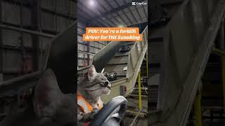 POV Youre a forklift driver for THE Sunnking forklift cat capcut [upl. by Naves]